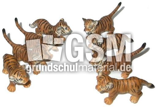 Tiger-4+4.jpg